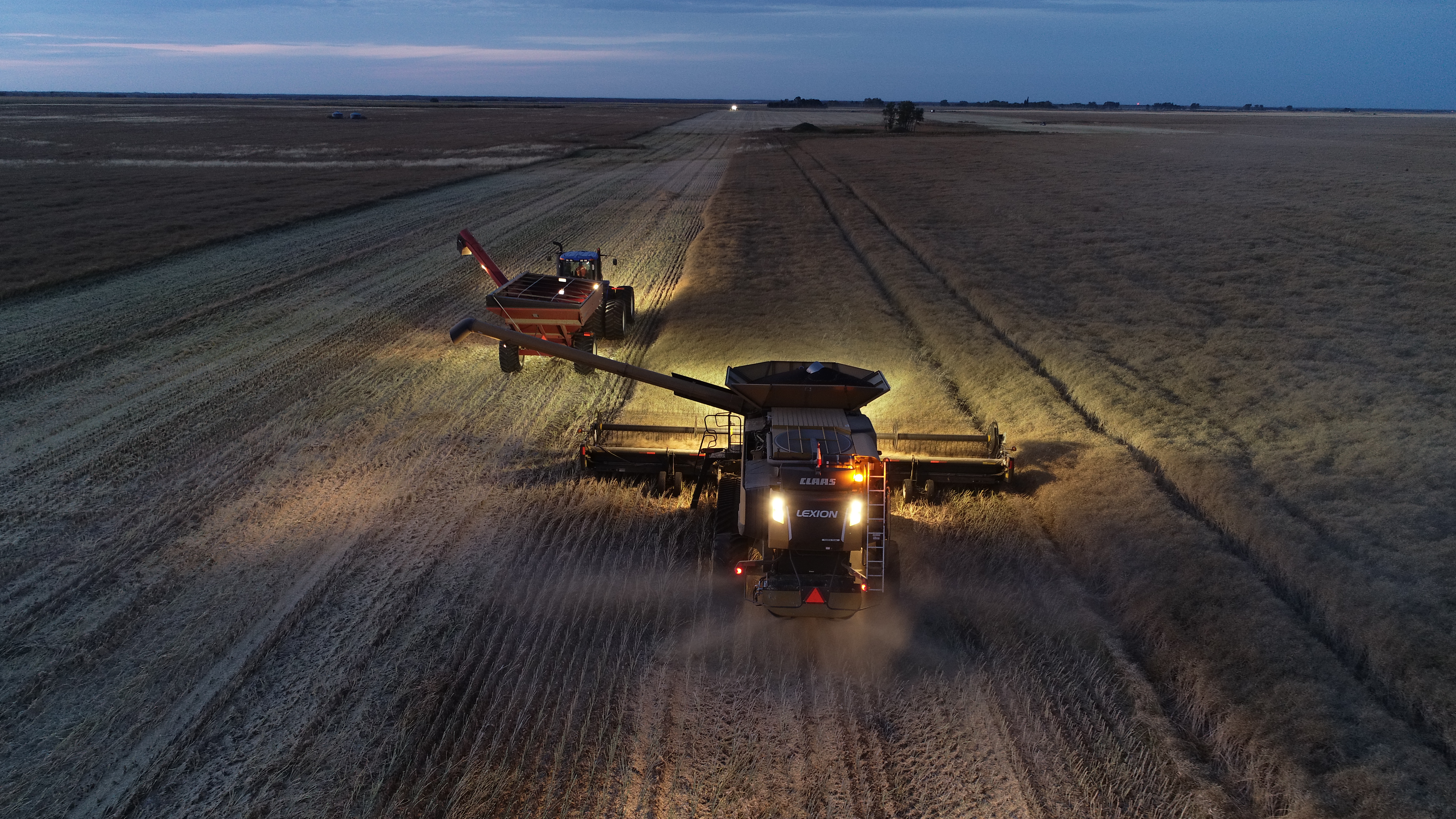 Two machines harvesting a crop in the evening