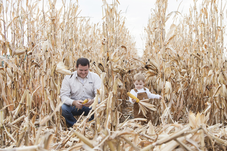 A man and his toddler son pick corn in a field